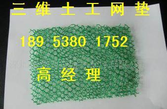 岳陽(yáng)三維土工網(wǎng)墊2016年價(jià)格【贊】_泰安強(qiáng)力土工材料_商國(guó)互聯(lián)網(wǎng)